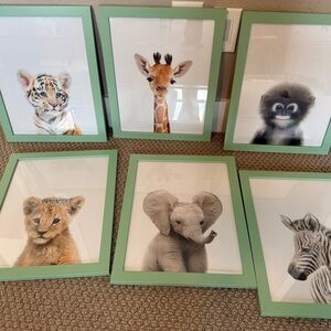 Green Framed Animal Portrait Set